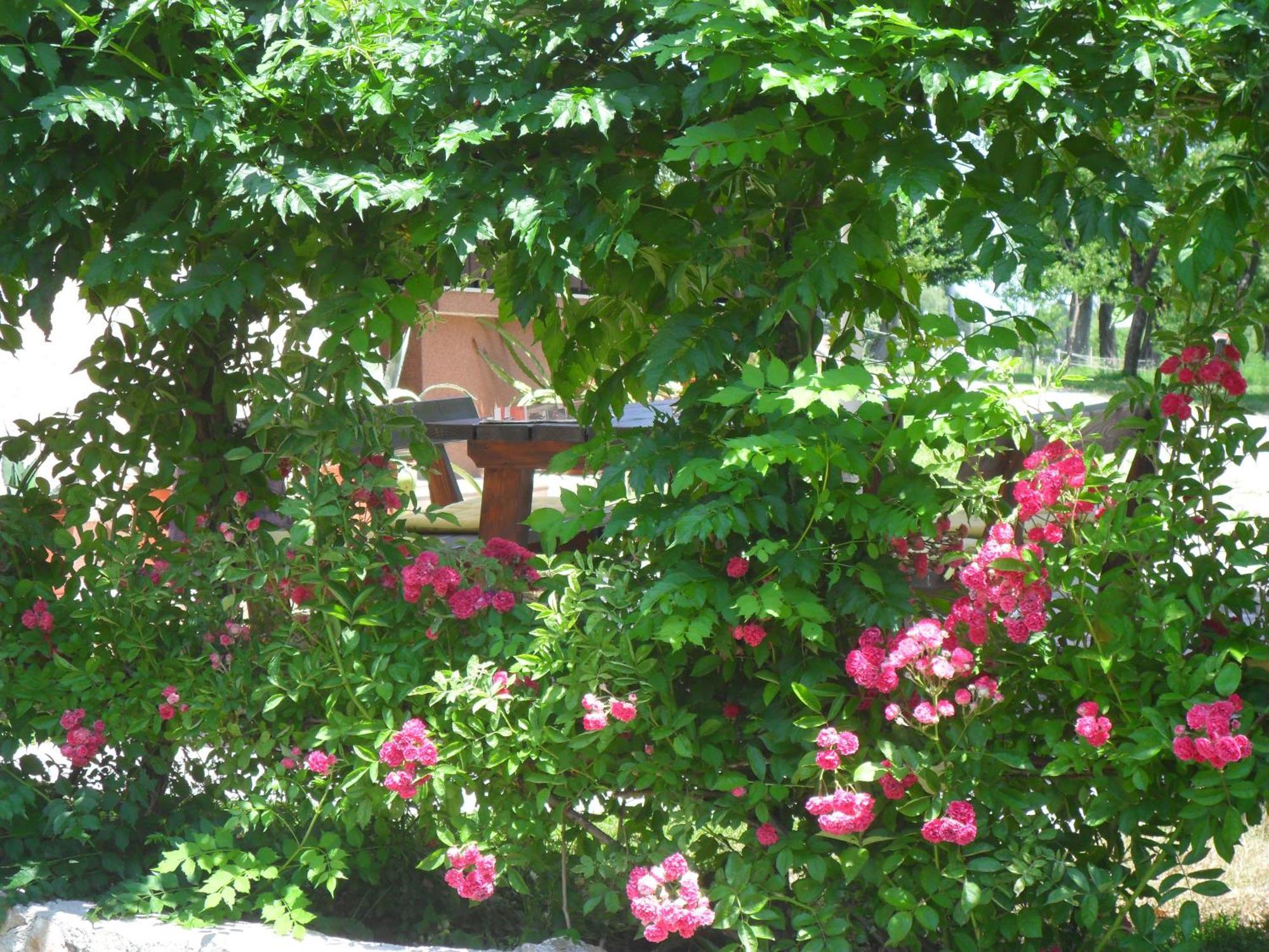 Guest Accommodation Marko Kesic Grabovac  Εξωτερικό φωτογραφία