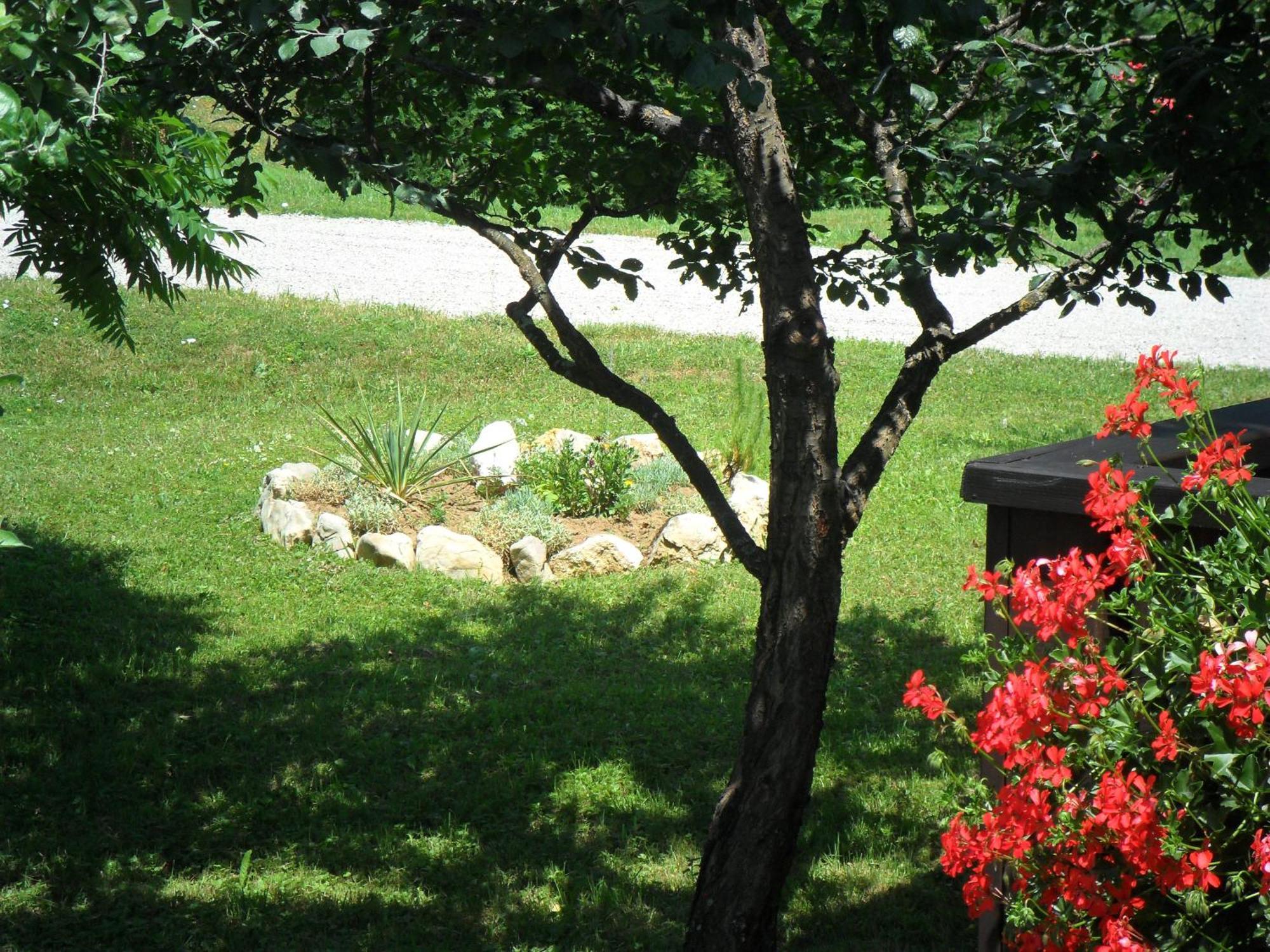 Guest Accommodation Marko Kesic Grabovac  Εξωτερικό φωτογραφία