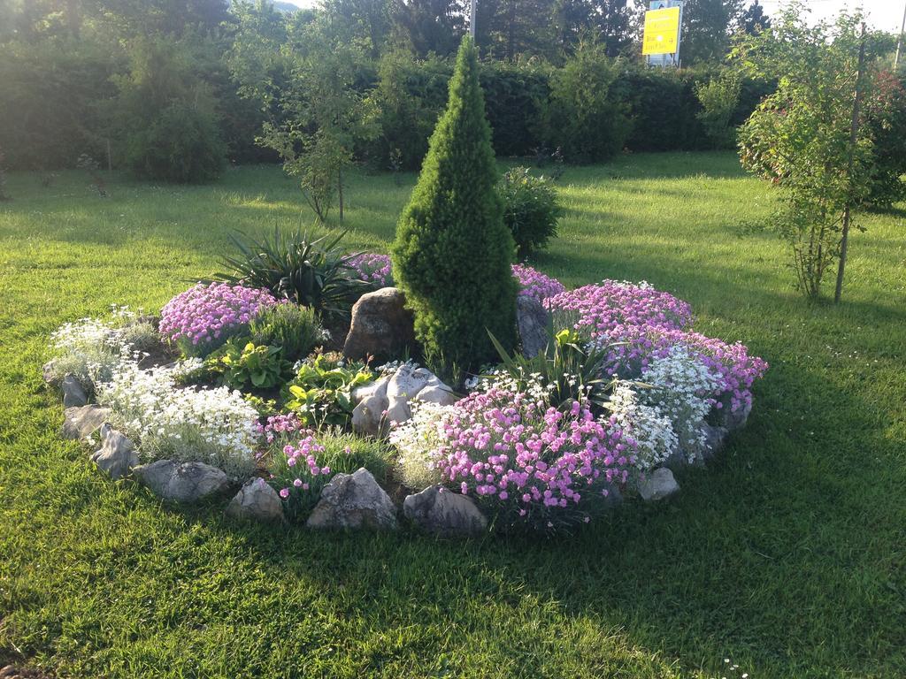 Guest Accommodation Marko Kesic Grabovac  Εξωτερικό φωτογραφία