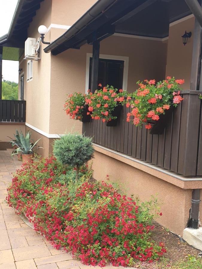 Guest Accommodation Marko Kesic Grabovac  Εξωτερικό φωτογραφία