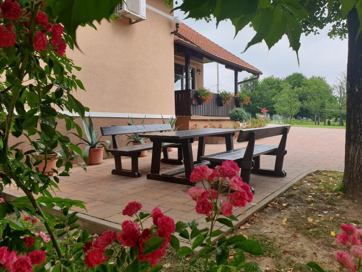 Guest Accommodation Marko Kesic Grabovac  Εξωτερικό φωτογραφία